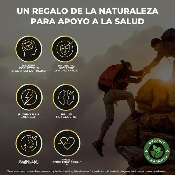 GOMAS SHILAJIT ⚡️ AUMENTA TU ENERGÍA ⚡️